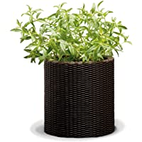 Keter - Maceta pequeña de base redonda- 7 litros- Color marrón chocolate